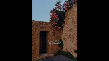 تلاوه رائعه للشيخ ياسر الدوسري🪐🤎 #quran #اكسبلور #ياسر_الدوسري #سوء_الظن #قران_كريم