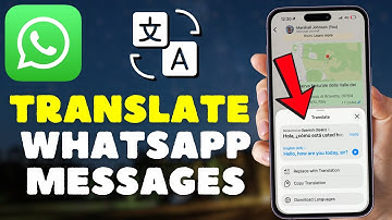 How to Translate WhatsApp Messages (NEW)
