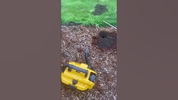 How to kill moles, voles, gophers.  Works every time.