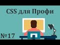 Медиа запросы @media простым языком | CSS для Профи