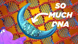 This Microscopic Organism Has 90x More DNA than Humans?! | Alien Ocean