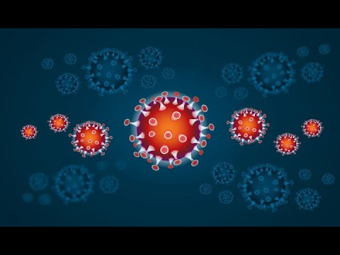 კორონავირუსით ინფიცირების  ორი ახალი შემთხვევა საფრანგეთსა და აშშ-ში მოგზაურობას უკავშირდება