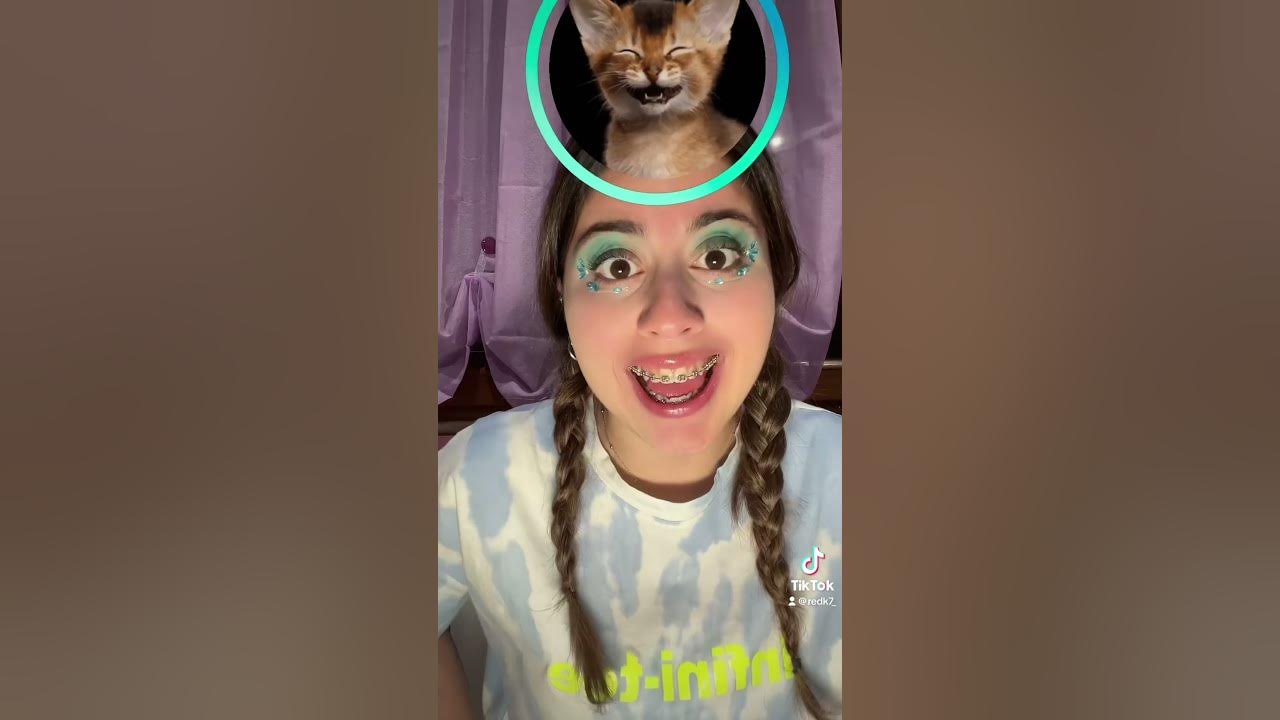 what-animal-am-i-youtube