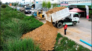 Amazing Showing Technique Making Canal Crossing By KOMATSU Dozer D31P \u0026 Truck5T Spreading Stone