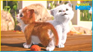 Cutest Cats | Mighty Mike | 110' Compilation | Cartoon for Kids by Mighty Mike 928,781 views 2 months ago 1 hour, 52 minutes