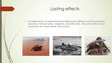 Informative Speech Powerpoint