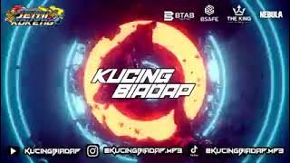 Bukan Tak Setia Techno Fengtaw 2023 Kucingbiadap™_low_edit (Hanif Channel™)