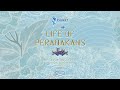 The Grand Gala:Life of Peranakans งานเลี้ยงต้อนรับผู้เข้าประกวด MGT2024 สู่ จ.ภูเก็ต อย่างเป็นทางการ image