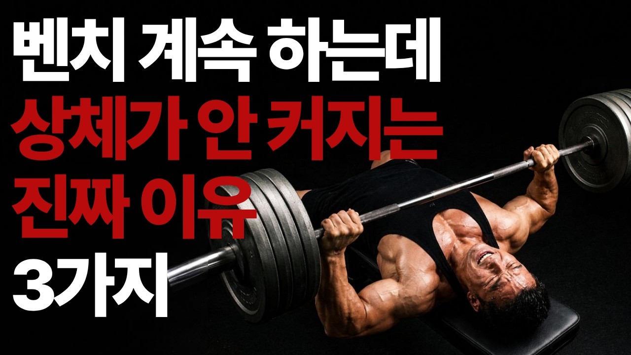 벤치 계속 하는데 상체가 안 커지는 진짜 이유 3가지 (프레임이 안 바뀌는 이유)