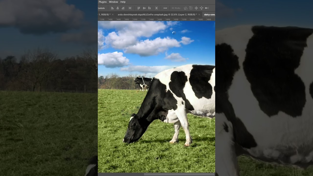 Unlock the Secrets of the Pop Out Effect in Photoshop! #photomanipulation #like #art