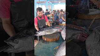 Perfect Tuna Cutting Techniques #fish #fishcutting #fishmarket #lokalmarket #fishing