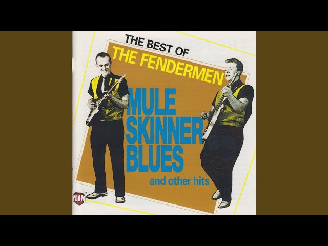 Mule Skinner BluesThe Fendermen
