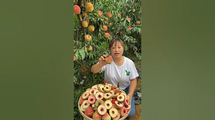 Peaches fruit harvesting from farmers and cutting skills so fresh #peaches - DayDayNews