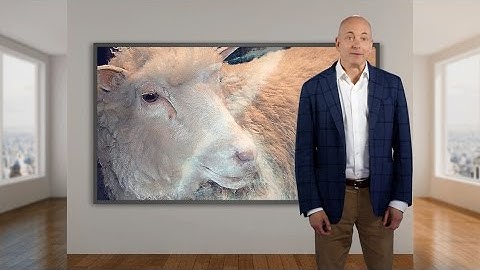 1996: Dolly the Sheep - 20 Years of Mentor Embedded