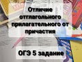 ОГЭ по  русскому языку. Отличие отыменных прилагательных, отглагольных прилагательных и причастий