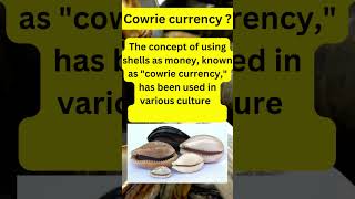 Cowrie currency 