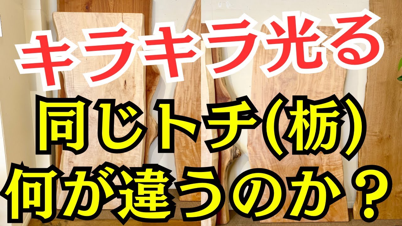 値下げしました　　木のぼく　 ヤバい】キラキラ光るトチ(栃)が価格高騰中 - YouTube