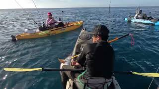 kayak fishing los cabos