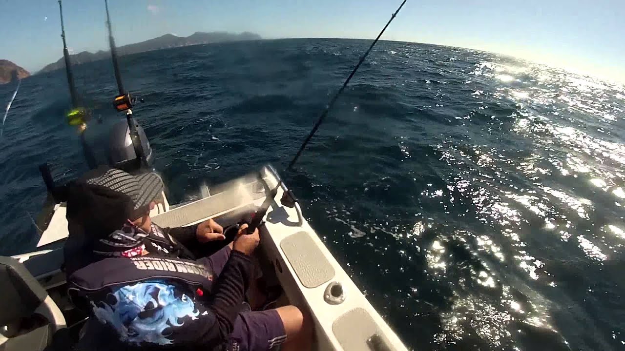 Bluefin Tuna Schouten Island Tasmania YouTube