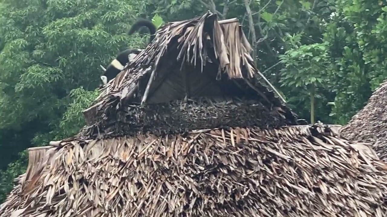 2) navigation vers manompana et antanambe