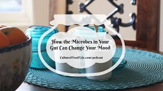 Podcast Episode 228: How the Microbes in Your Gut Can Change Your Mood