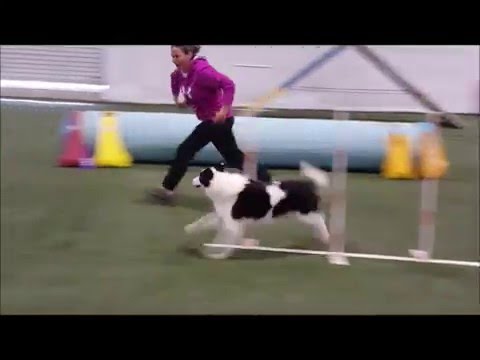 handling 360 agility