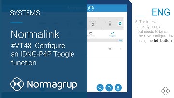 #VT48 Normalink (ENG):  Configure an IDNG P4P Toogle function.