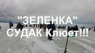 ЗЕЛЕНКА.НЕМНОГО ПОЛОВИЛИ