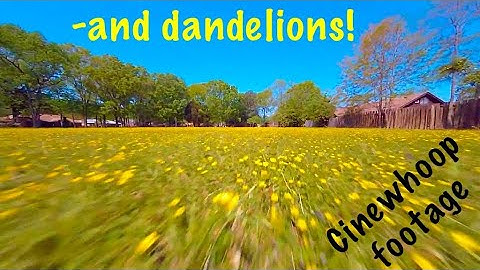 Dancing in the Trees   ||   FPV Cinewhoop