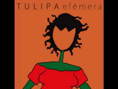 Vídeo: Árvore De Tulipa