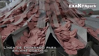 Carne macinata congelada. Busta da 400 g