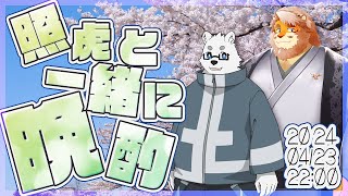 【雑談コラボ】照虎と一緒に晩酌 240423【VTuber 北見ユウ｜花鎧照虎】