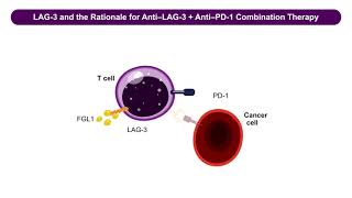 Expanding the Benefits of ImmunoOncology Through Novel Rational Targets and Combinations