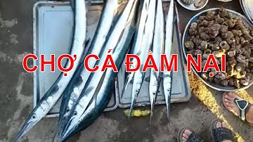Khám phá chợ cá Đầm Nại có gì đặc biệt mà du khách đổ về đông thế?