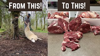 Home Kill And Home Butcher A Lamb!!
