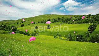 Cherry Blossom Petals Sakura | Motion Graphics - Envato elements