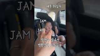 제주16일차 첫잼잼 #제주한달살기 #둥이