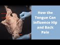 Relaxing the tongue to inhibit hip flexors the deep front line