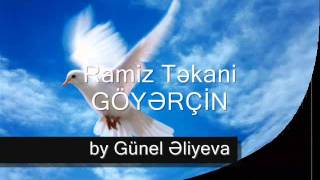 Ramiz Təkani Göyərçin Resimi