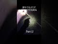 ちてるゴミで高級ウナギを釣る Part12 #サバイバルキング #survival
