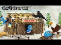      hindi moral stories  jungle me barf barish  chidiya kauwa kahani  cartoon