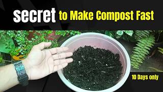 The secret method to make compost fast just in 10 days