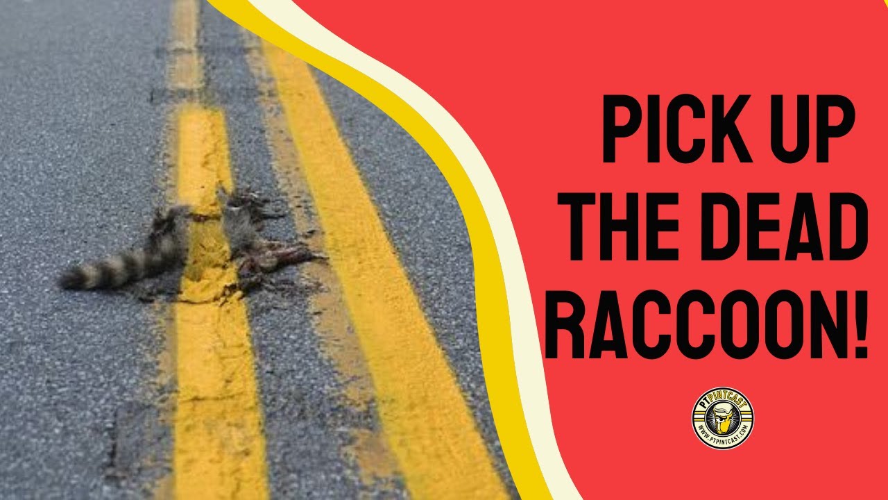 💀 🦝 Pick Up The Dead Raccoon!