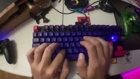 Holy Trash Pandas & MiTo SA Lasers