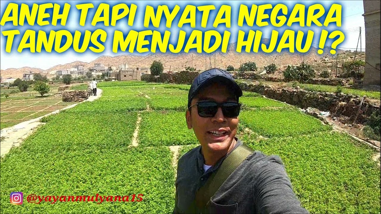 ANEH TAPI NYATA ARAB SAUDI NEGARA TANDUS MENJADI HIJAU!?