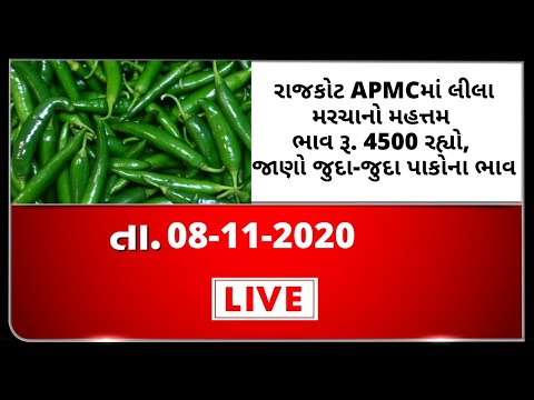 ગુજરાતની બધી જ APMCના તા.08-11-2020 દરેક પાકના ભાવ । TV9 NEWS