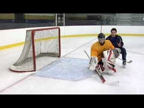 ProHybrid Training DVD Vol. 1-hockey goaltending drills tips techniques