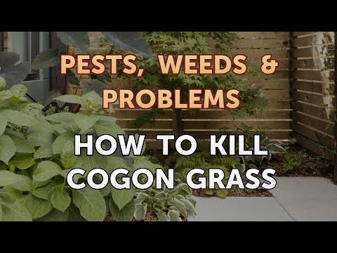 فيديو: كيف تتحكم في عشب الكوجون؟