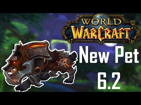 WoW | How to get a Iron Warwolf | Hunter Pet Guide