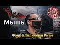 Фэнс &amp; Типичный Ритм - Мышь